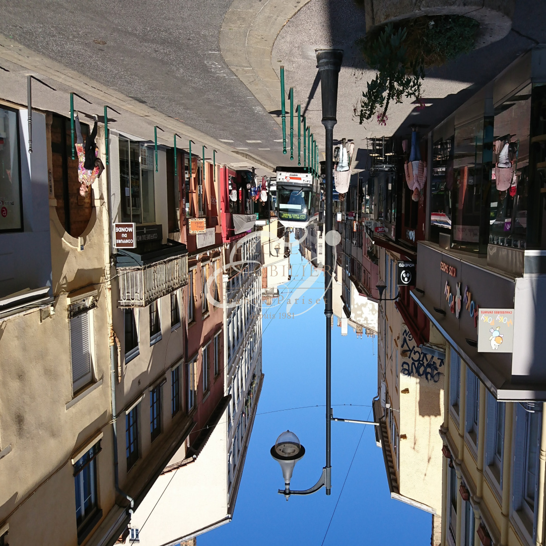 vente immobilier professionnel Vente Lyon 69004 Droit au ...